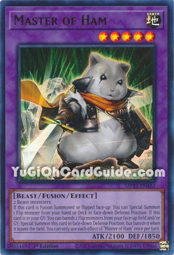 Yu-Gi-Oh Card: Master of Ham