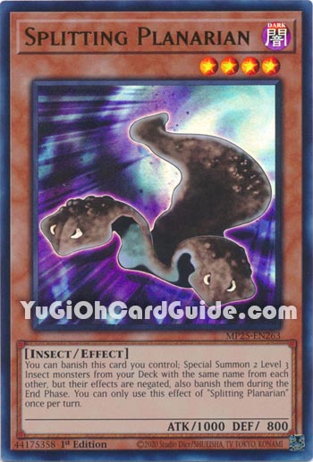 Yu-Gi-Oh Card: Splitting Planarian