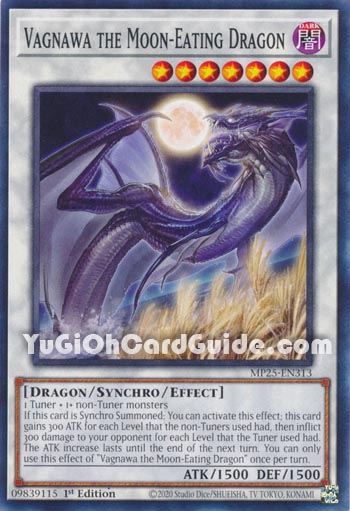 Yu-Gi-Oh Card: Vagnawa the Moon-Eating Dragon