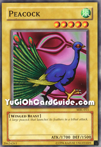 Yu-Gi-Oh Card: Peacock