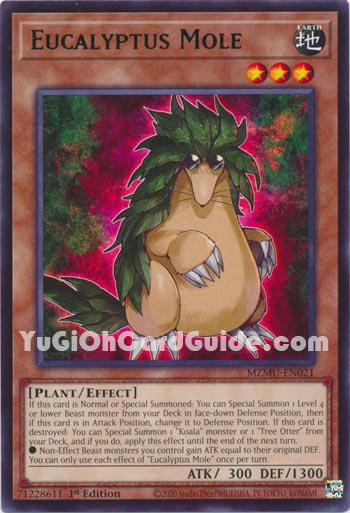 Yu-Gi-Oh Card: Eucalyptus Mole