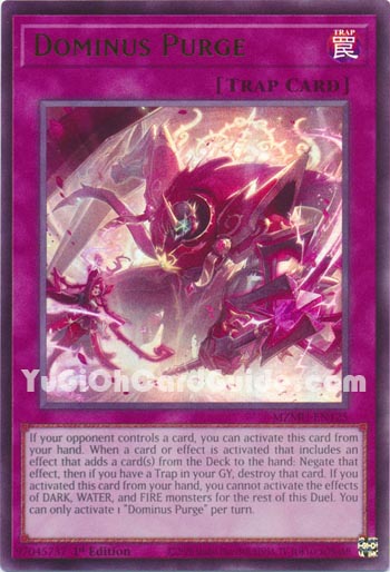 Yu-Gi-Oh Card: Dominus Purge