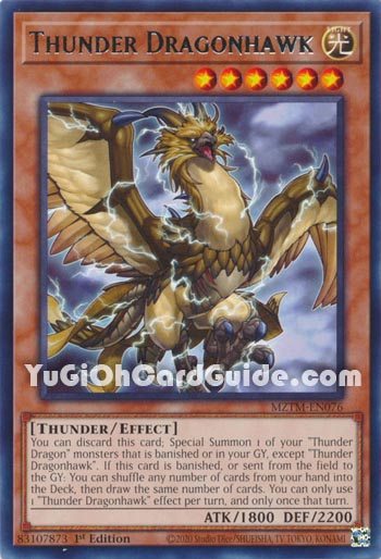 Yu-Gi-Oh Card: Thunder Dragonhawk