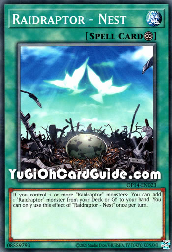 Yu-Gi-Oh Card: Raidraptor - Nest