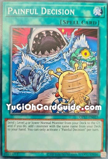Yu-Gi-Oh Card: Painful Decision