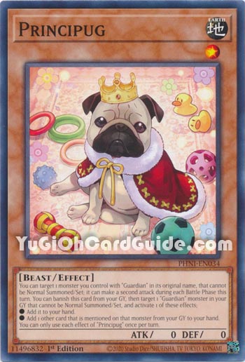 Yu-Gi-Oh Card: Principug