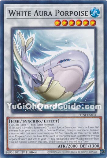 Yu-Gi-Oh Card: White Aura Porpoise