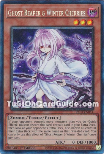 Yu-Gi-Oh Card: Ghost Reaper & Winter Cherries