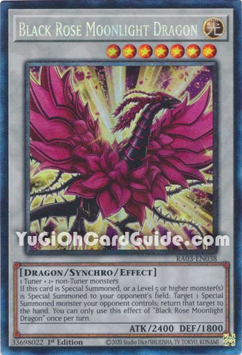 Yu-Gi-Oh Card: Black Rose Moonlight Dragon