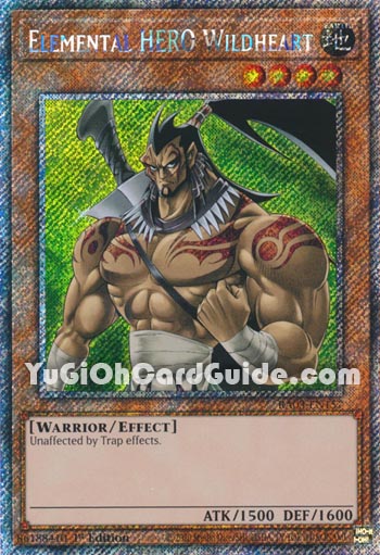 Yu-Gi-Oh Card: Elemental HERO Wildheart