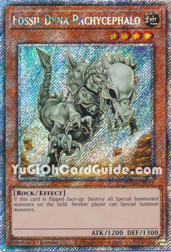 Yu-Gi-Oh Card: Fossil Dyna Pachycephalo