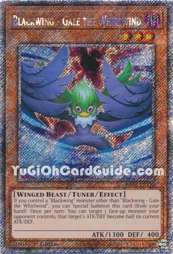 Yu-Gi-Oh Card: Blackwing - Gale the Whirlwind