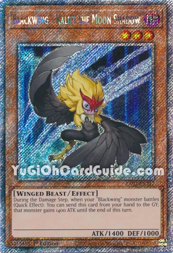 Yu-Gi-Oh Card: Blackwing - Kalut the Moon Shadow