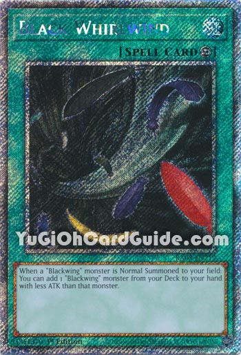 Yu-Gi-Oh Card: Black Whirlwind