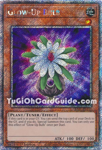 Yu-Gi-Oh Card: Glow-Up Bulb