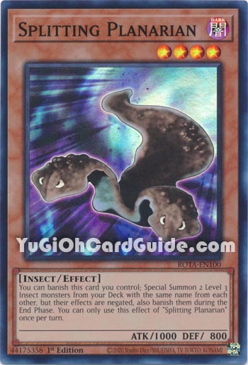 Yu-Gi-Oh Card: Splitting Planarian