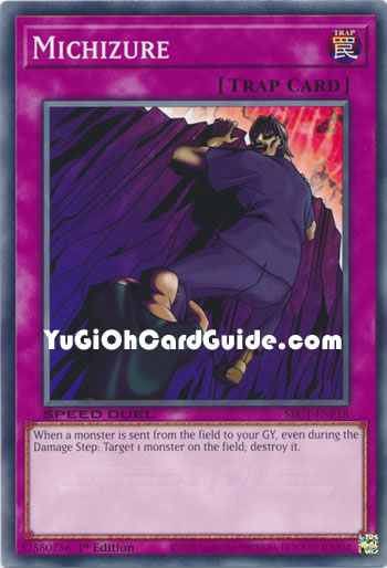 Yu-Gi-Oh Card: Michizure