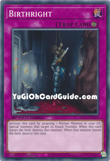 Yu-Gi-Oh Card: Birthright