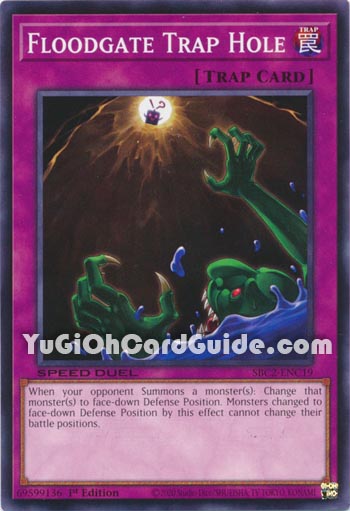 Yu-Gi-Oh Card: Floodgate Trap Hole