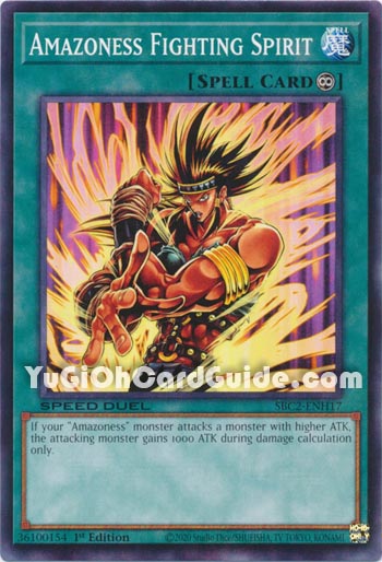 Yu-Gi-Oh Card: Amazoness Fighting Spirit