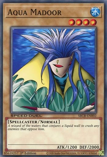 Yu-Gi-Oh Card: Aqua Madoor