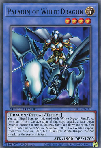 Yu-Gi-Oh Card: Paladin of White Dragon