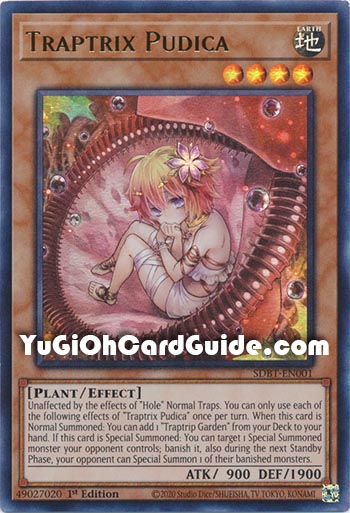 Yu-Gi-Oh Card: Traptrix Pudica