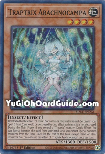 Yu-Gi-Oh Card: Traptrix Arachnocampa