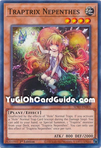 Yu-Gi-Oh Card: Traptrix Nepenthes