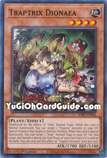 Yu-Gi-Oh Card: Traptrix Dionaea