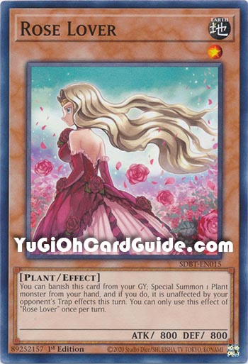 Yu-Gi-Oh Card: Rose Lover