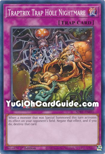 Yu-Gi-Oh Card: Traptrix Trap Hole Nightmare
