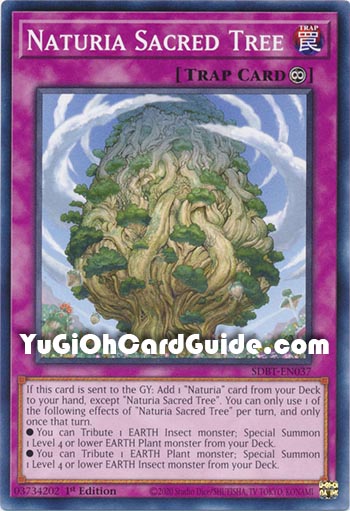 Yu-Gi-Oh Card: Naturia Sacred Tree