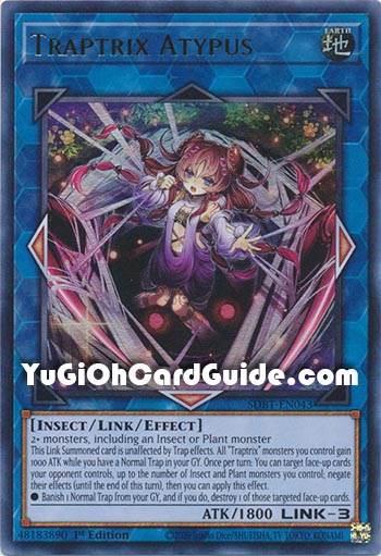 Yu-Gi-Oh Card: Traptrix Atypus