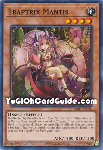 Yu-Gi-Oh Card: Traptrix Mantis