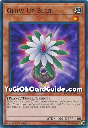 Yu-Gi-Oh Card: Glow-Up Bulb