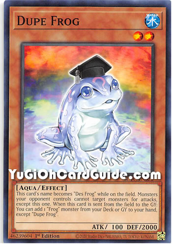 Yu-Gi-Oh Card: Dupe Frog