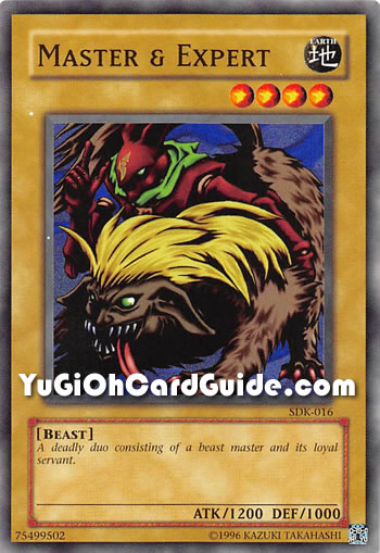 Yu-Gi-Oh Card: Master & Expert