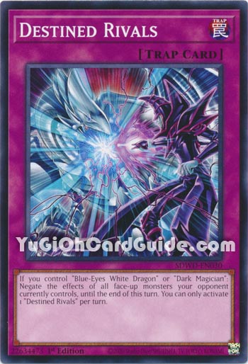 Yu-Gi-Oh Card: Destined Rivals