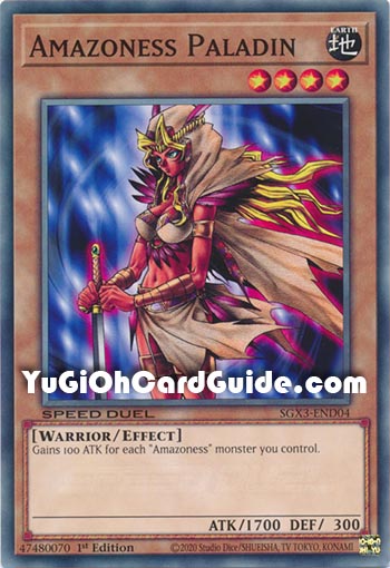Yu-Gi-Oh Card: Amazoness Paladin