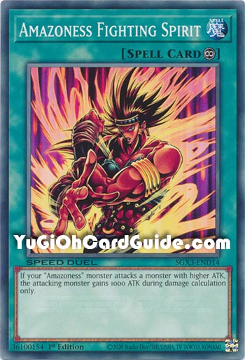 Yu-Gi-Oh Card: Amazoness Fighting Spirit
