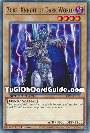 Yu-Gi-Oh Card: Zure, Knight of Dark World
