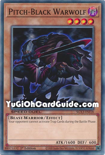 Yu-Gi-Oh Card: Pitch-Black Warwolf