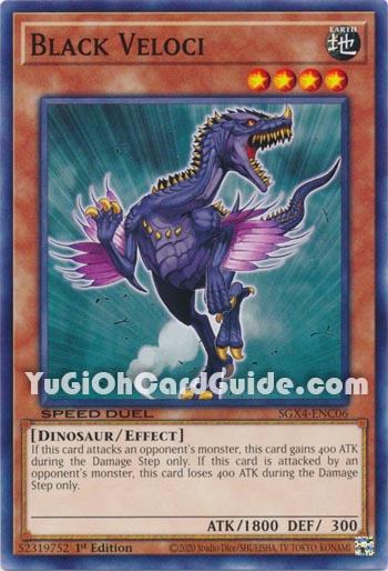 Yu-Gi-Oh Card: Black Veloci