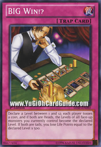 Yu-Gi-Oh Card: BIG Win!?