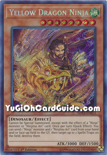 Yu-Gi-Oh Card: Yellow Dragon Ninja