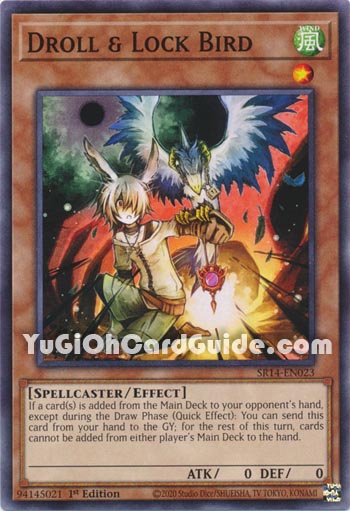 Yu-Gi-Oh Card: Droll & Lock Bird