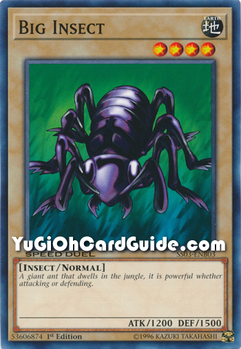 Yu-Gi-Oh Card: Big Insect