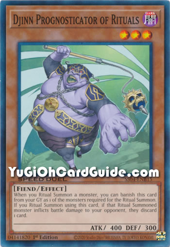 Yu-Gi-Oh Card: Djinn Prognosticator of Rituals