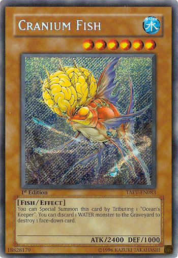 Yu-Gi-Oh Card: Cranium Fish